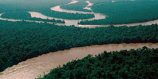 el amazonas es el río más largo del mundo