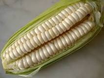 maiz peruano