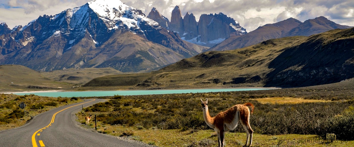 ¿Cuáles son las montañas más altas de Perú y cuáles son sus altitudes?