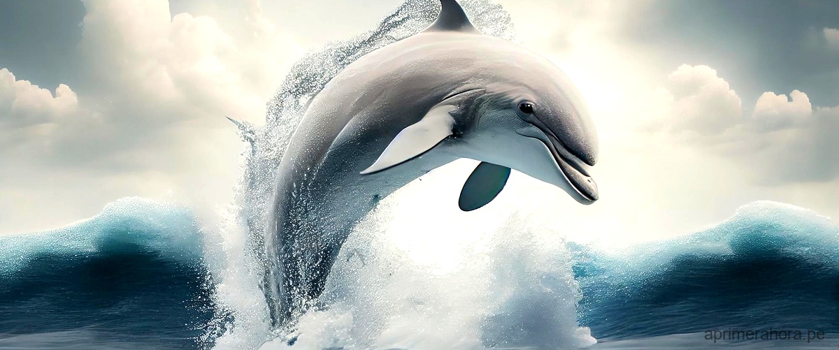 El Delfín de las motas y su tesoro escondido en las profundidades marinas
