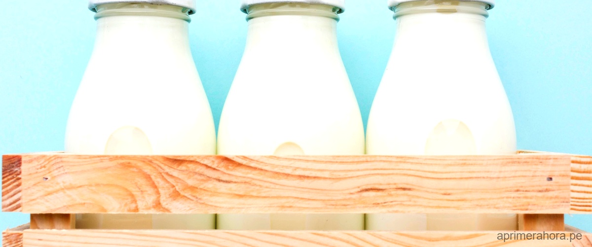 Explorando el sentido detrás de "has comprao leche xd" en la jerga digital