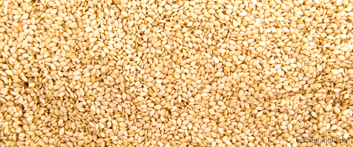 ¿Qué es la quinoa, ¿es un cereal o una legumbre?